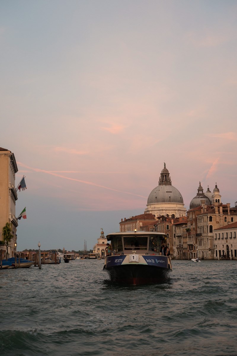 Η Τόνια Σωτηροπούλου μιλάει στο ELLE για την εμπειρία της από το Διεθνές Φεστιβάλ Κινηματογράφου της Βενετίας - εικόνα 4