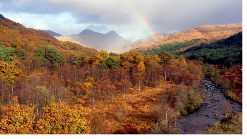 Αύγουστος στο Viasat Nature: Η εντυπωσιακές εποχές της άγριας Σκωτίας μάς καθηλώνουν - εικόνα 1