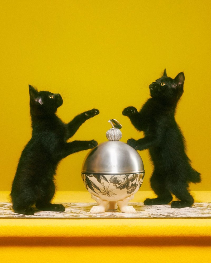 H συλλογή Gucci Pet Collection θέλει να κακομάθει τα κατοικίδιά μας ακόμα περισσότερο - εικόνα 1