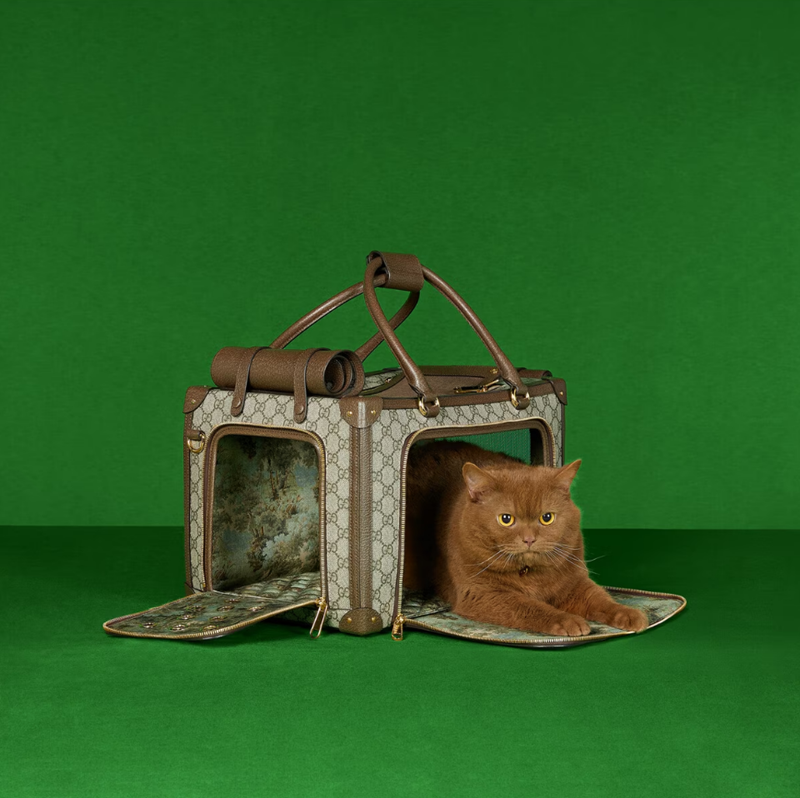 H συλλογή Gucci Pet Collection θέλει να κακομάθει τα κατοικίδιά μας ακόμα περισσότερο - εικόνα 6