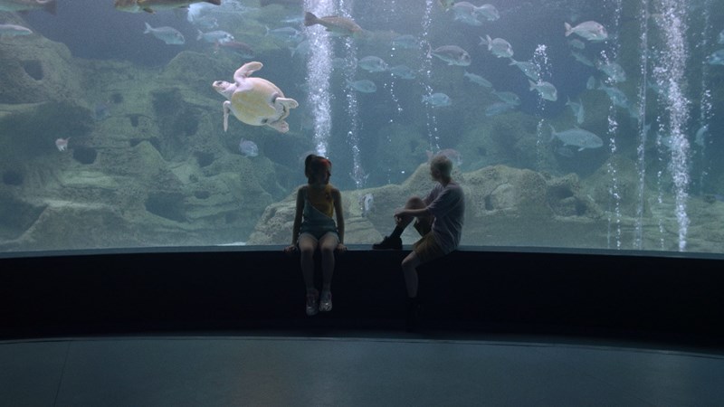 Φαίδρα Βόκαλη: «Η καρέκλα της σκηνοθέτριας ήταν απροσδόκητα οικεία» - εικόνα 1