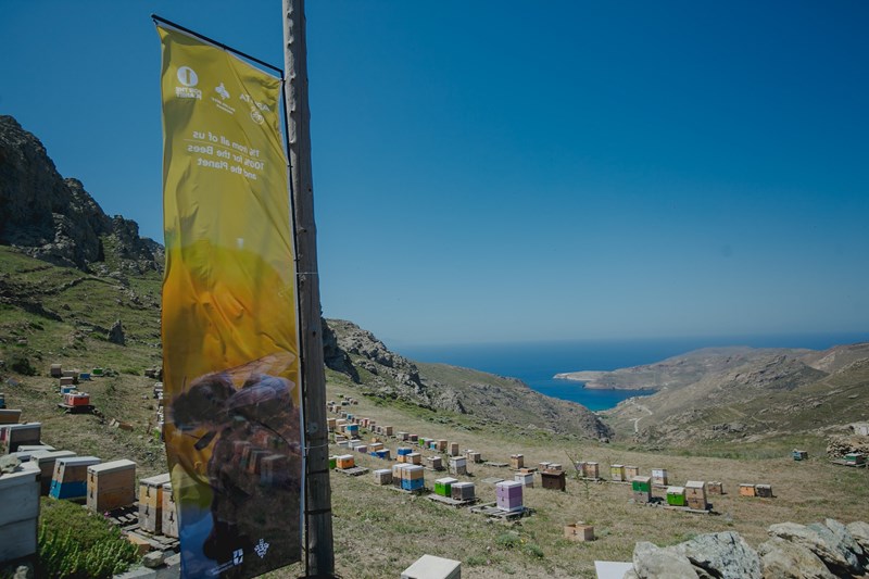 Οι μέλισσες, η ομορφιά και η σωτηρία του πλανήτη - εικόνα 1