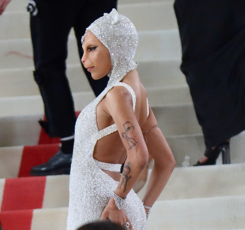Met Gala 2023: Οι celebrities που εμπνεύστηκαν από την Choupette, την αγαπημένη γάτα του Karl Lagerfeld - εικόνα 2