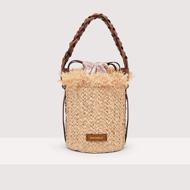 psathino_kalathi_coccinelle