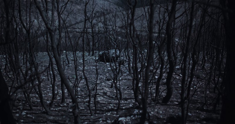 Διεθνές Φεστιβάλ Ταινιών Μικρού Μήκους Δράμας: Τρεις σκηνοθέτριες μιλούν στο ELLE - εικόνα 3