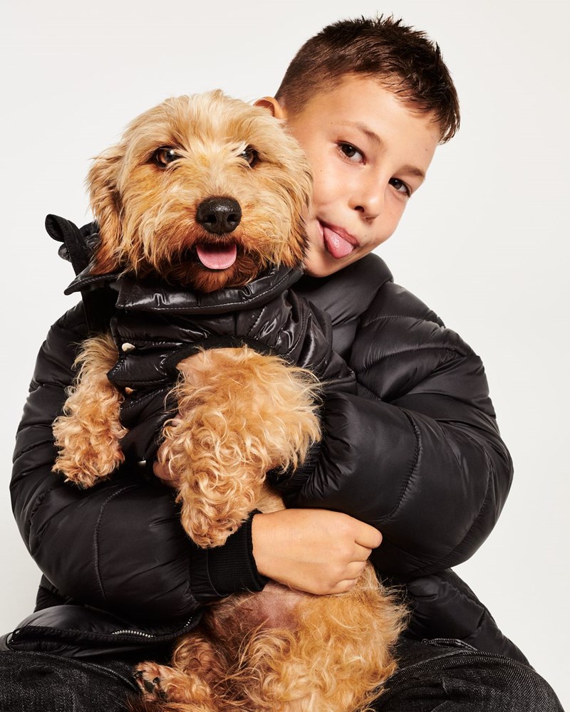 WE ARE FAMILY: Η νέα εορταστική καμπάνια της Benetton είναι αφιερωμένη στους αγαπημένους μας τετράποδους φίλους - εικόνα 4