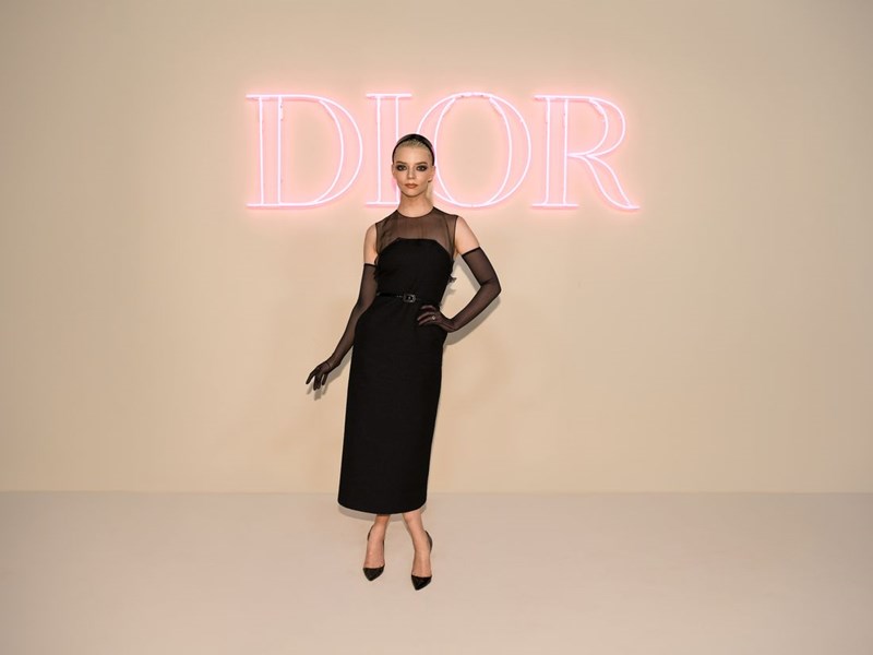 Dior Pre Fall 2024: Οι εντυπωσιακές εμφανίσεις των celebrities στο σόου που έλαβε χώρα στη Νέα Υόρκη - εικόνα 8