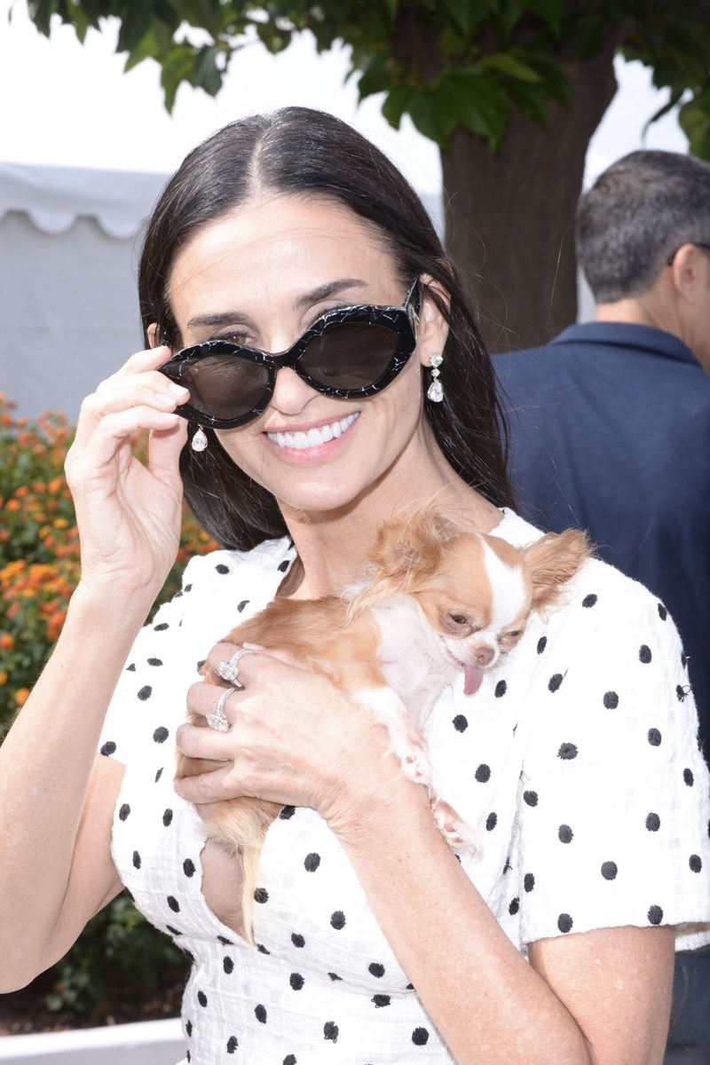 Demi Moore: Ξέρουμε ποια είναι τα εντυπωσιακά γυαλιά ηλίου που φόρεσε στις Κάννες και θα σου πούμε πού θα τα βρεις - εικόνα 1