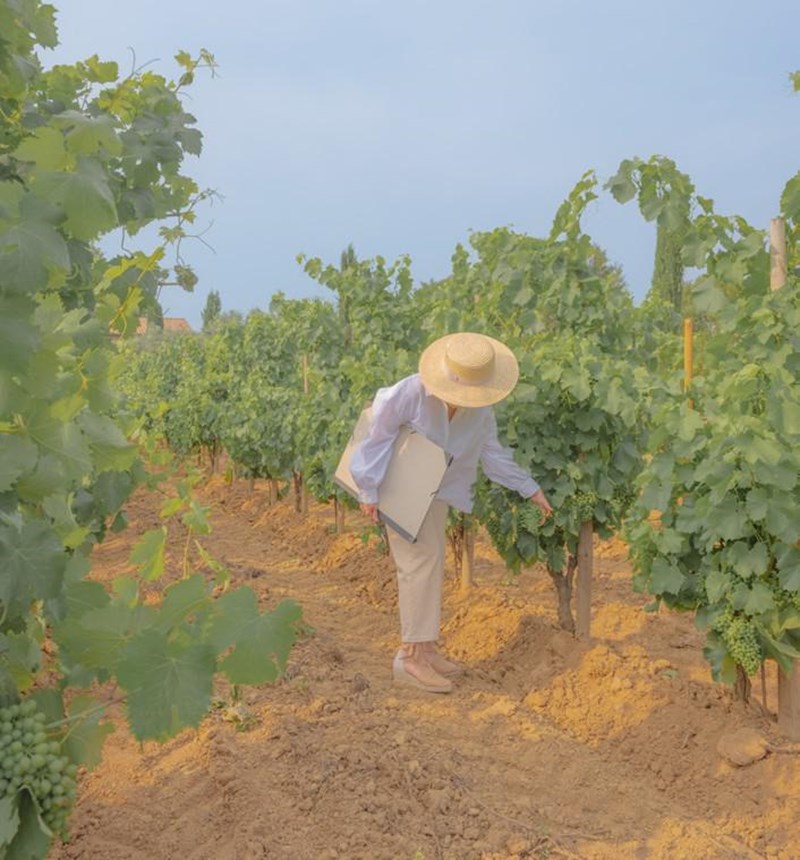 Minuty M x Henriette Arcelin: Μία συλλεκτική φιάλη γεμάτη ιστορία και λαμπερό ήλιο από την Προβηγκία - εικόνα 4