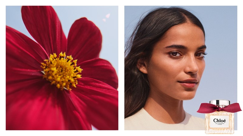 New Obsession: Το νέο εθιστικό άρωμα που παντρεύει το τριαντάφυλλο με τα ξυλώδη στοιχεία - εικόνα 1