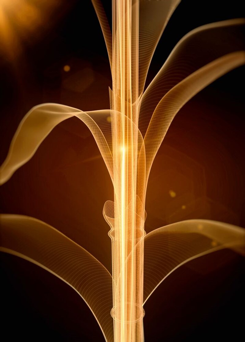 Το πολυτελές serum που διατηρεί τη νεανική όψη στην επιδερμίδα μας - εικόνα 1