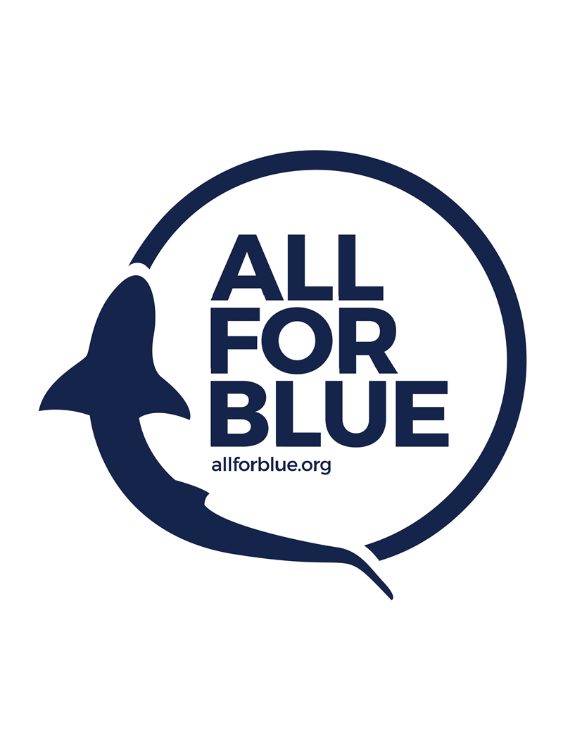 "ALL FOR BLUE": Ο ελληνικός μη κερδοσκοπικός περιβαλλοντικός οργανισμός που μάχεται για την προστασία του υδάτινου κόσμου και της θαλάσσιας ζωής #savetheplanet - εικόνα 1