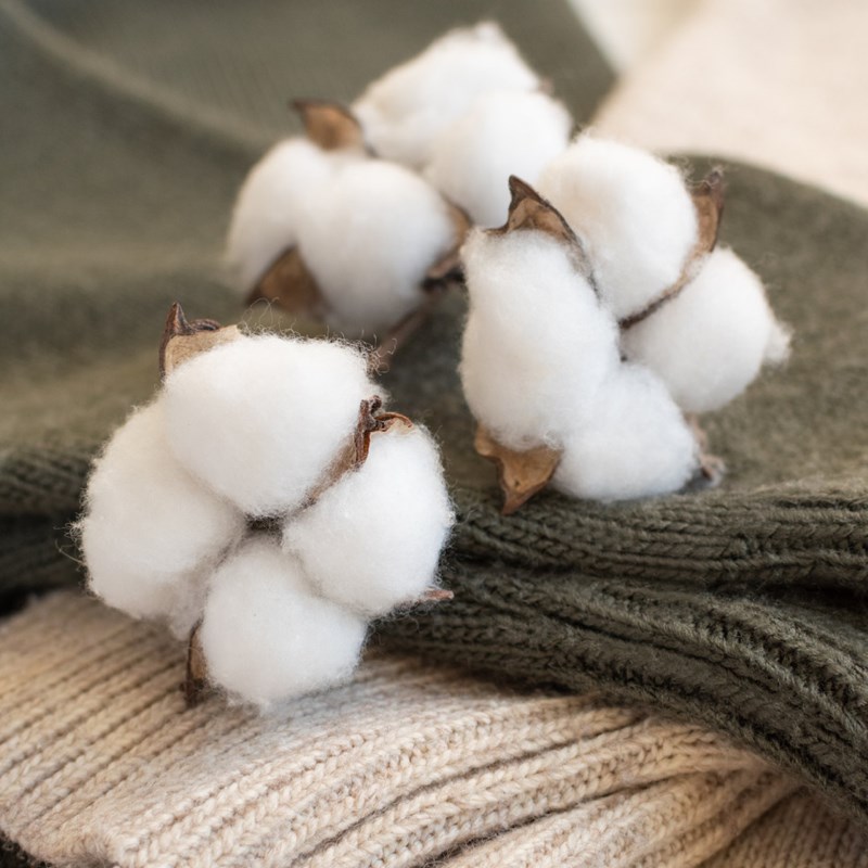 EUCOTTON: Το ευρωπαϊκό βαμβάκι προς τη διάσωση της μόδας - εικόνα 1