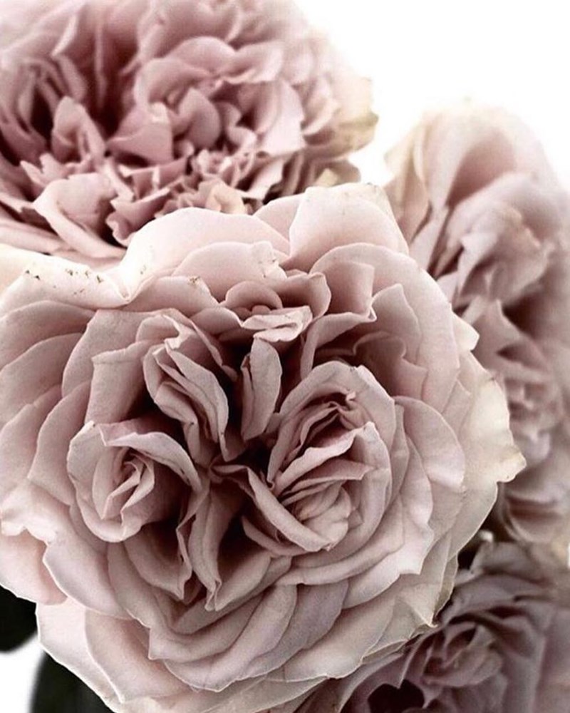 32 γωνιές από ένα ονειρεμένο σπίτι που ξυπνούν τη θηλυκότητα - εικόνα 3