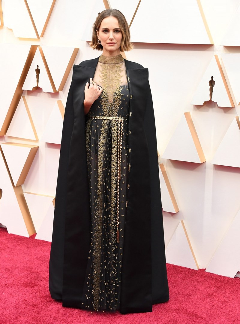 Oscars: Αυτές είναι οι ωραιότερες εμφανίσεις όλων των εποχών. Αξίζουν βραβείο από μόνες τους - εικόνα 25