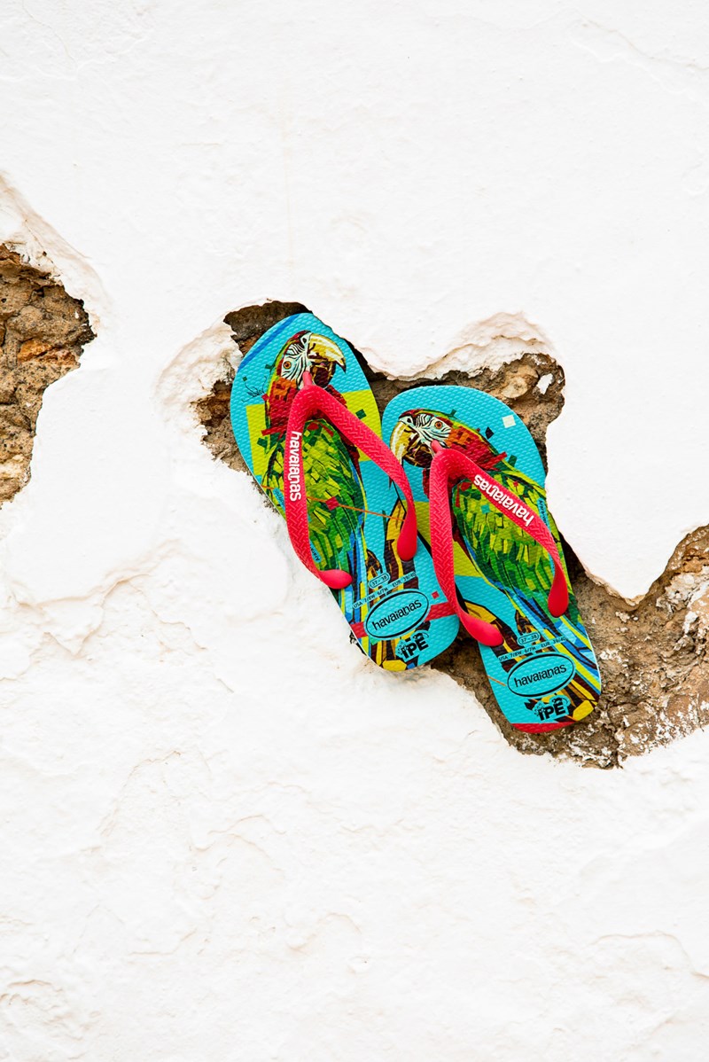 Σαγιονάρες με οικολογική συνείδηση - εικόνα 1