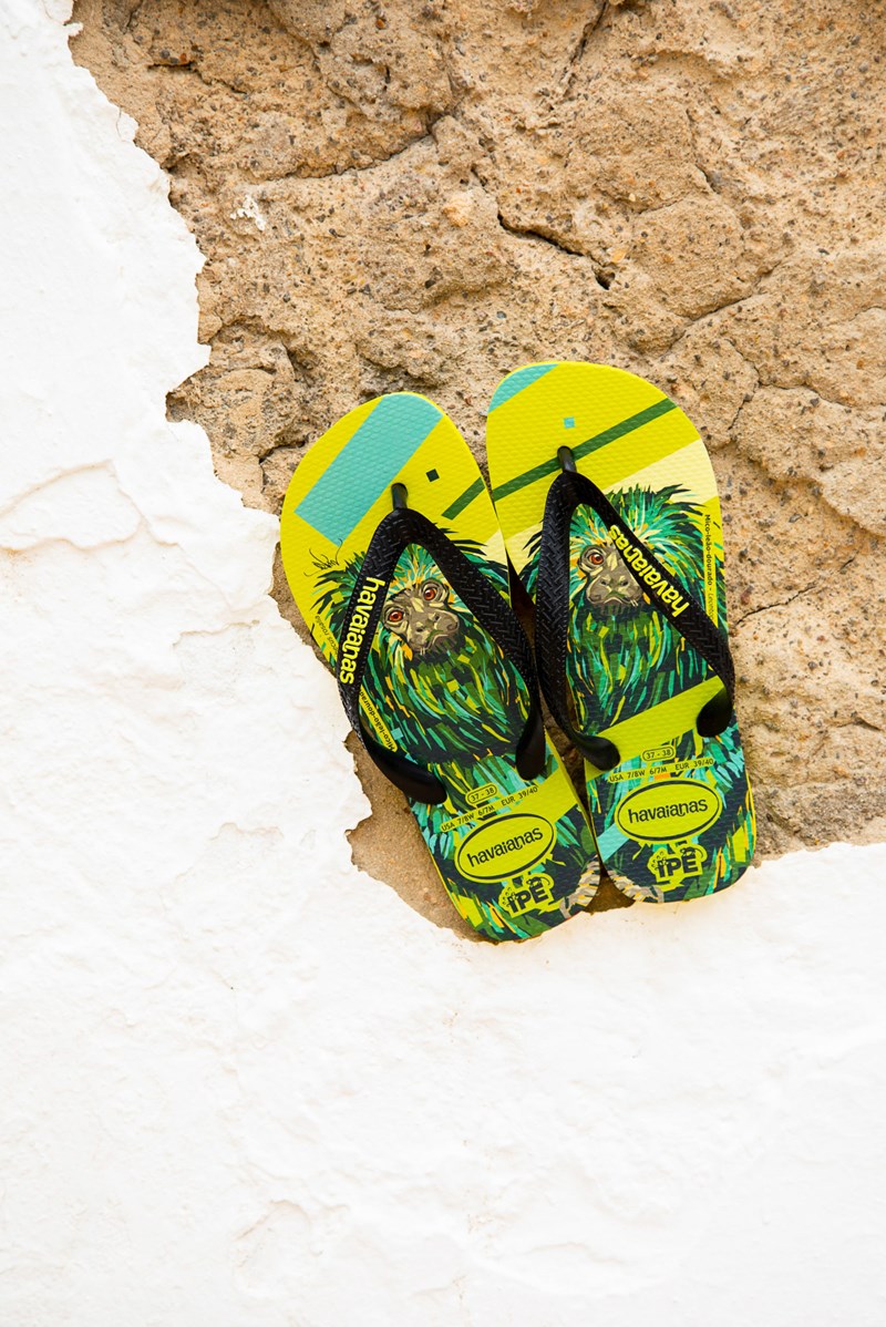 Σαγιονάρες με οικολογική συνείδηση - εικόνα 2