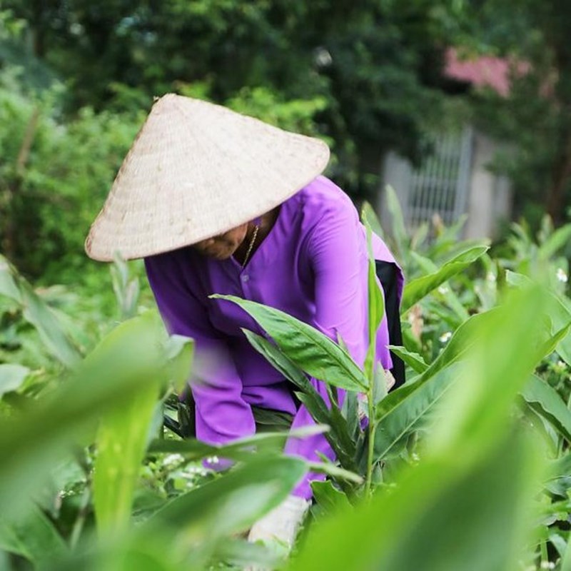 Οι γυναίκες στην αντεπίθεση για την κλιματική αλλαγή - εικόνα 1