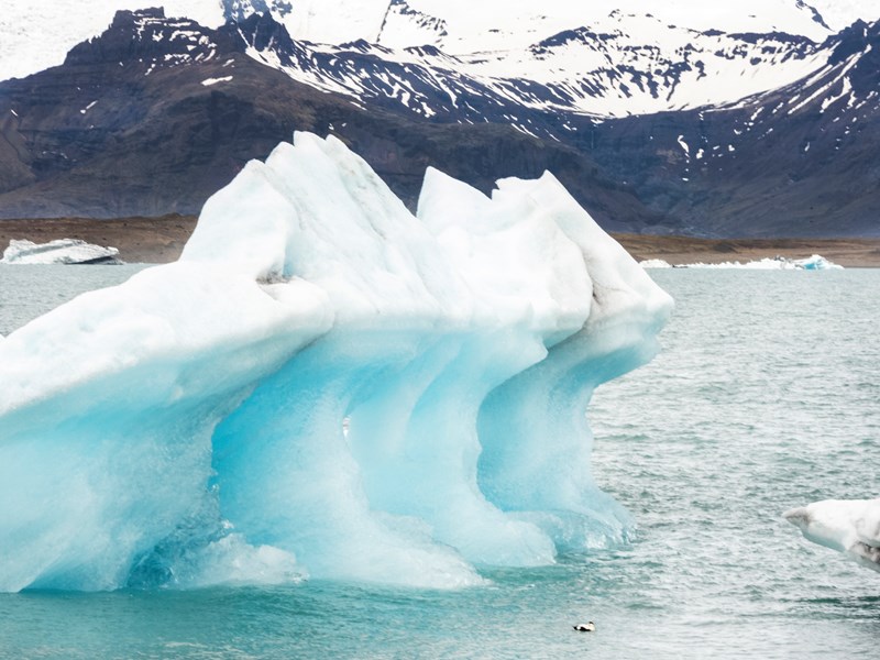 Η Irina Shayk έχει κάτι να σου πει για το περιβάλλον - εικόνα 7
