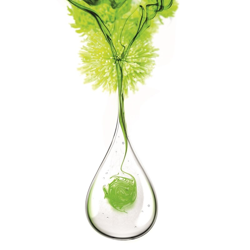 Clean Beauty: Όταν το νεσεσέρ μας σέβεται το περιβάλλον - εικόνα 2