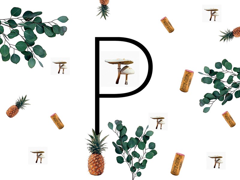 Το ELLE γιορτάζει την Παγκόσμια Ημέρα Γης και αγωνίζεται για έναν καλύτερο πλανήτη #WomenForEarth - εικόνα 18