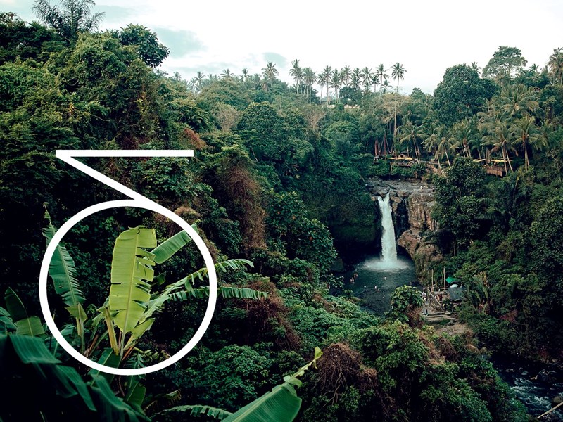 Το ELLE γιορτάζει την Παγκόσμια Ημέρα Γης και αγωνίζεται για έναν καλύτερο πλανήτη #WomenForEarth - εικόνα 5