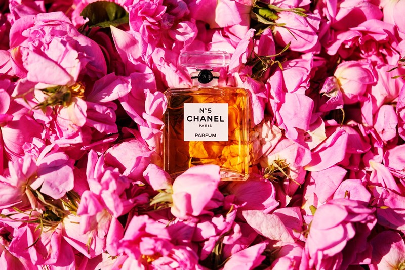 May Rose: Απόδραση στα ροζ λιβάδια της Νότιας Γαλλίας με τον οίκο Chanel - εικόνα 1