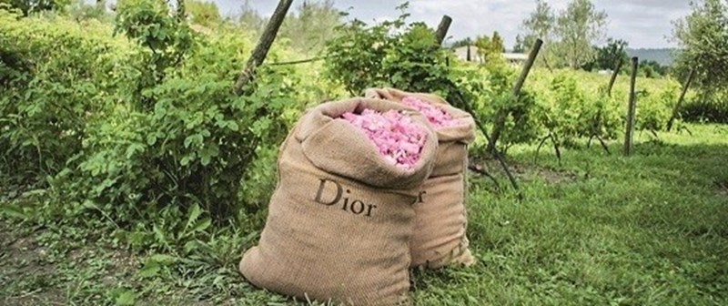 Château de La Colle Noire: Γνώρισε την έπαυλη των λουλουδιών του Christian Dior στη Νότια Γαλλία - εικόνα 9