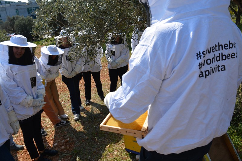Παγκόσμια Ημέρα Μέλισσας: Γνωρίζεις πόσο σημαντική είναι για το οικοσύστημα; - εικόνα 2