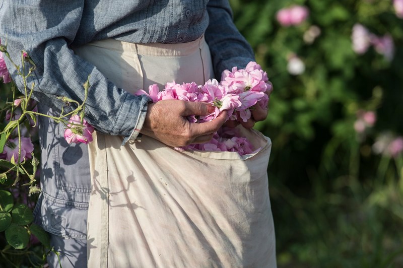 May Rose: Απόδραση στα ροζ λιβάδια της Νότιας Γαλλίας με τον οίκο Chanel - εικόνα 6