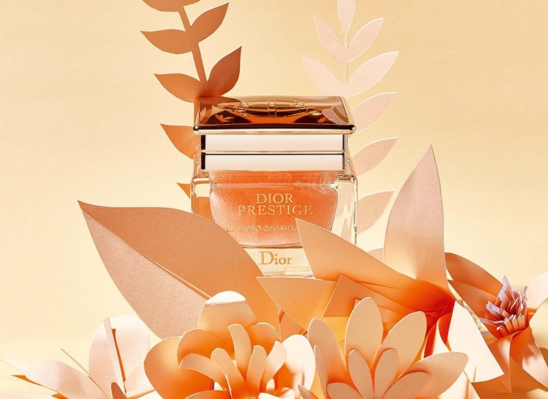 boudoir_stories_dior