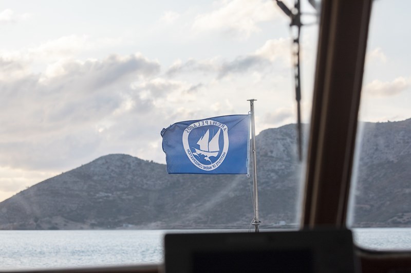 «Από την φύση στην επιδερμίδα και ξανά πίσω»: Τελικά τι ξέρεις για την έννοια του clean beauty; - εικόνα 4