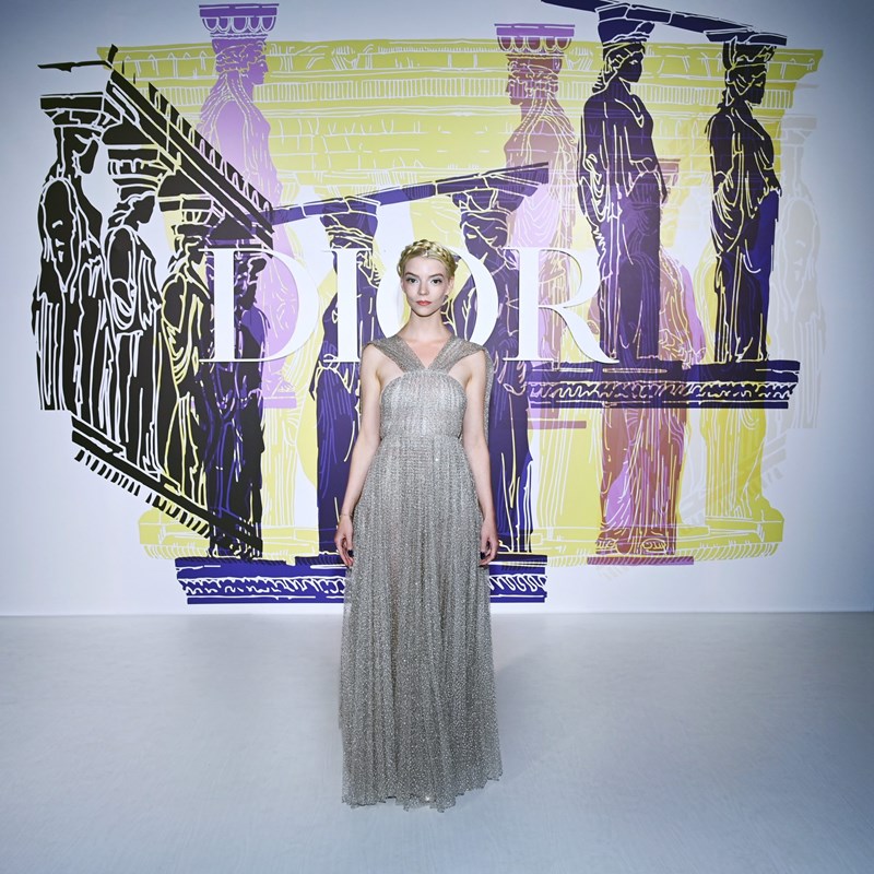 Dior Cruise 2022: Οι celebrities που έδωσαν το «παρών» στο Παναθηναϊκό Στάδιο - εικόνα 5