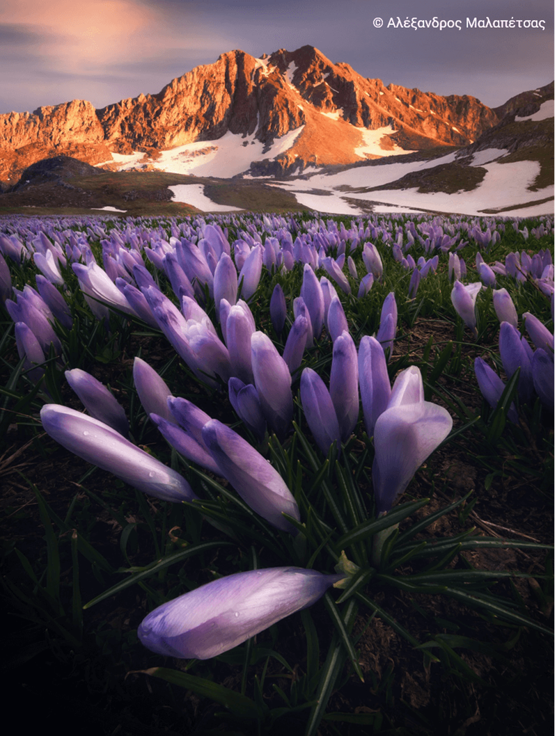 natura 2000