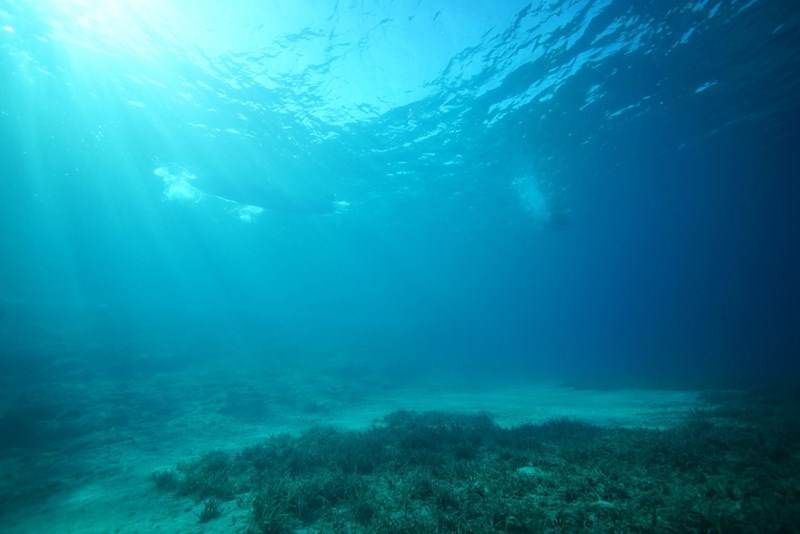 «Από την φύση στην επιδερμίδα και ξανά πίσω»: Τελικά τι ξέρεις για την έννοια του clean beauty; - εικόνα 3