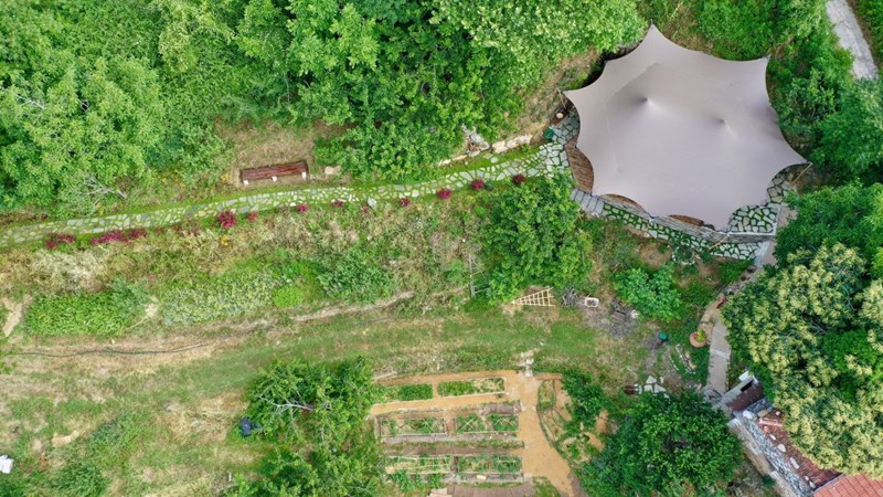 Αγκαλιάστε τη σοφία της φύσης με το Nature Coaching - εικόνα 3