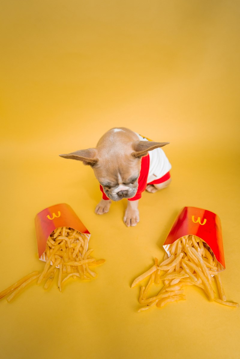 junk food