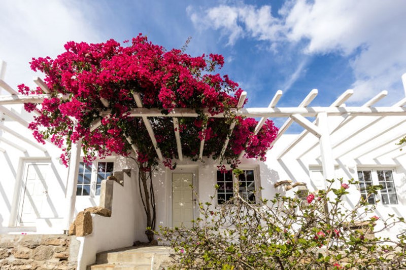 Rhenia Hotel: Σε αυτό το ξενοδοχείο οι "μαγικές διακοπές" είναι μονόδρομος - εικόνα 1