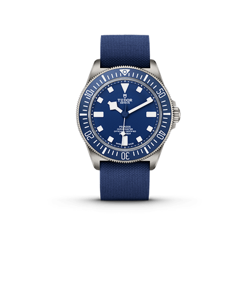 Tudor 