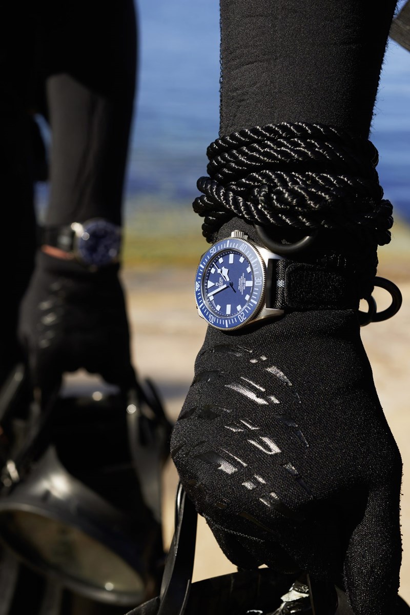 Tudor 