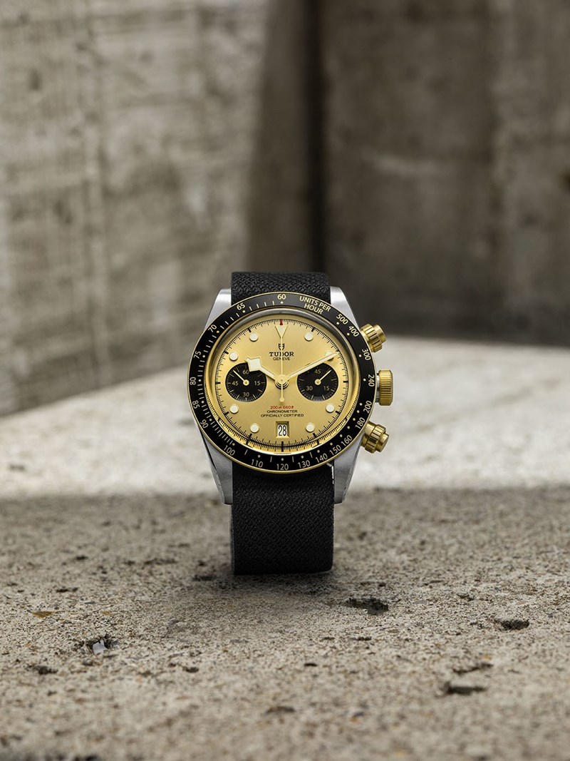 Αυτά είναι τα νέα μοντέλα της Tudor για το 2022 - εικόνα 2