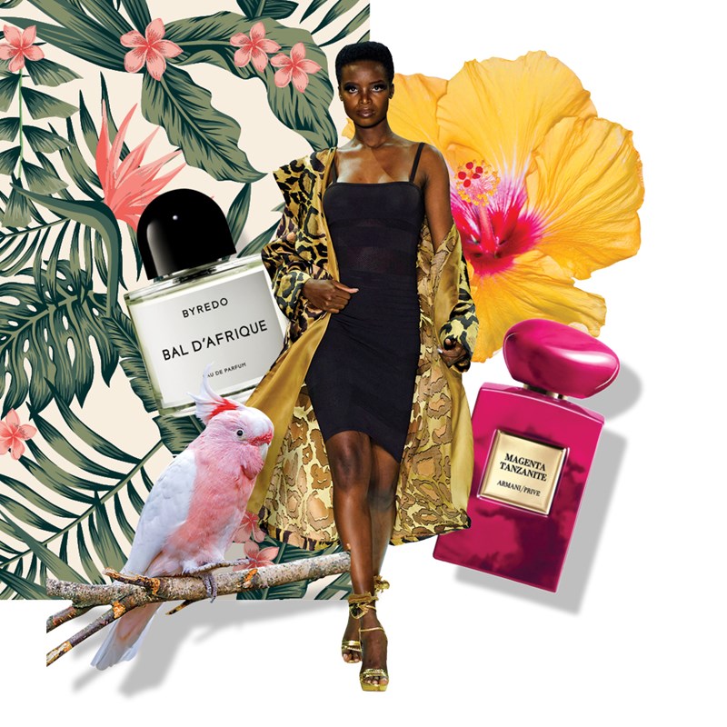 Αυτά τα αρώματα μας ταξιδεύουν - εικόνα 1