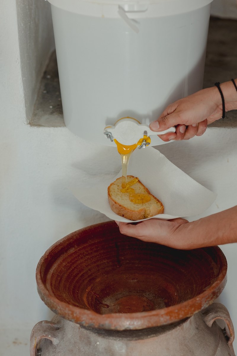 Οι μέλισσες, η ομορφιά και η σωτηρία του πλανήτη - εικόνα 8