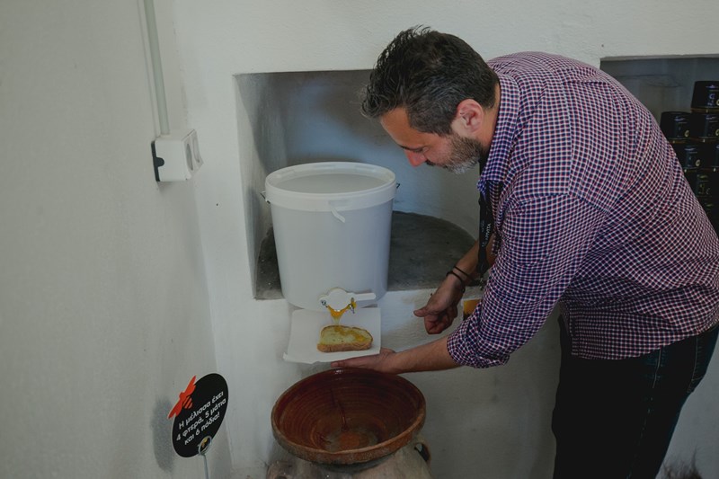 Οι μέλισσες, η ομορφιά και η σωτηρία του πλανήτη - εικόνα 9