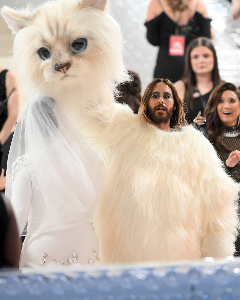 Met Gala 2023: Οι celebrities που εμπνεύστηκαν από την Choupette, την αγαπημένη γάτα του Karl Lagerfeld - εικόνα 1