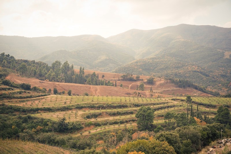 Πώς ένα brand με φόντο το Όρος Άθως καινοτομεί; Τo success story της Athonites, της νέας viral ελληνικής μάρκας - εικόνα 2