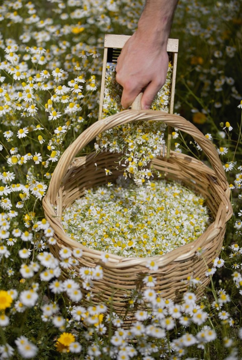 Πώς ένα brand με φόντο το Όρος Άθως καινοτομεί; Τo success story της Athonites, της νέας viral ελληνικής μάρκας - εικόνα 3