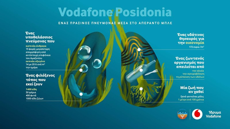 Το Ίδρυμα Vodafone επενδύει στον αγώνα για τη διάσωση των λιβαδιών της Ποσειδωνίας στις ελληνικές θάλασσες - εικόνα 1