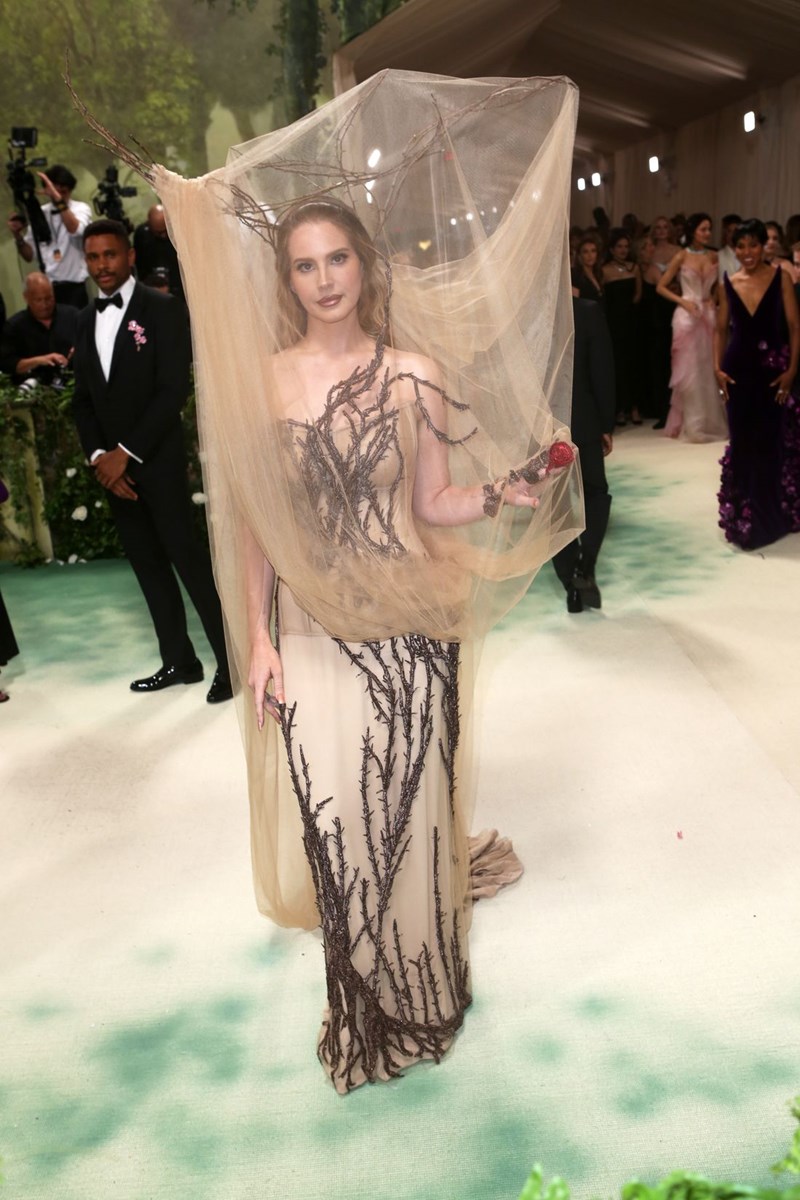 Met Gala 2024: Οι best dressed και οι παρουσίες που ξεχώρισαν στα Met steps - εικόνα 16