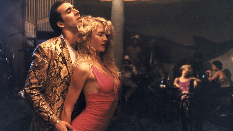 WILD AT HEART